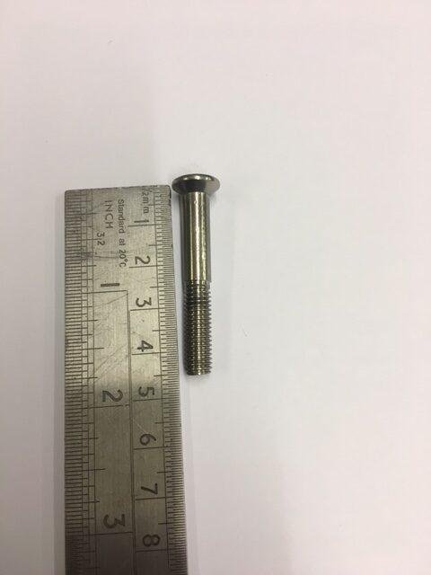 E7129S Polished stainless screw
